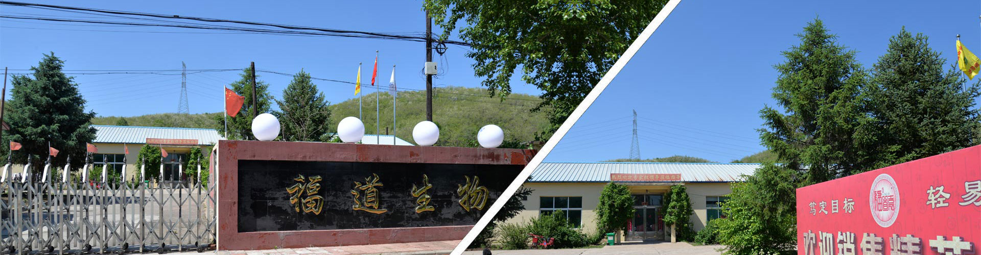 廣州鳳皓活動策劃公司企業(yè)介紹