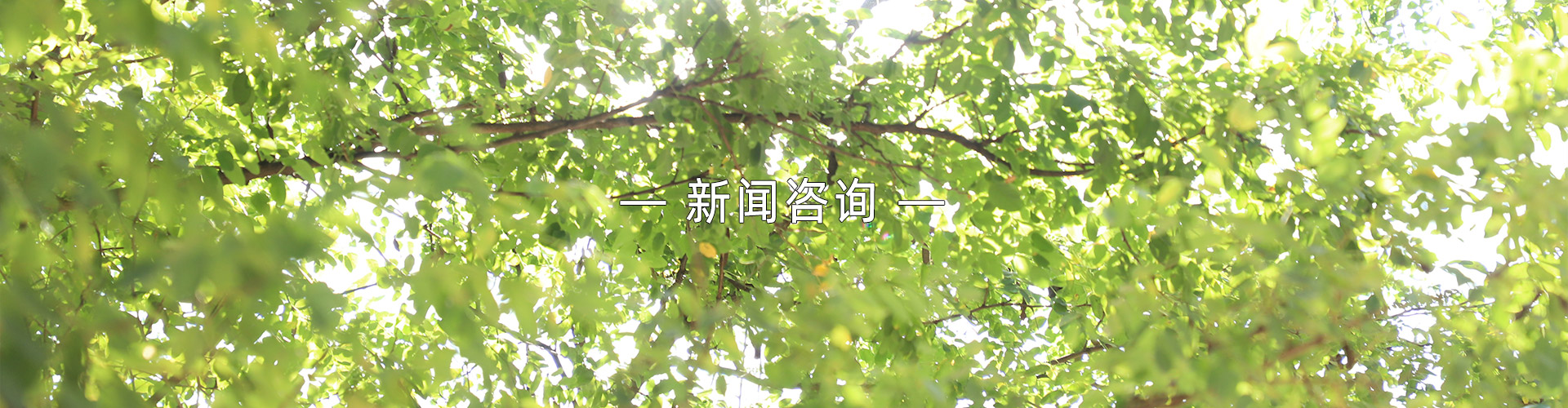 廣州鳳皓活動策劃公司新聞列表